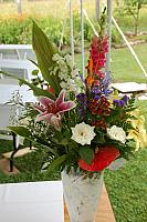 2011 08 07 1055