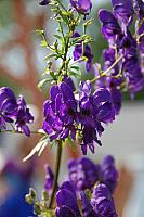 2011 08 07 1077