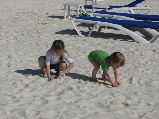 Picture 019