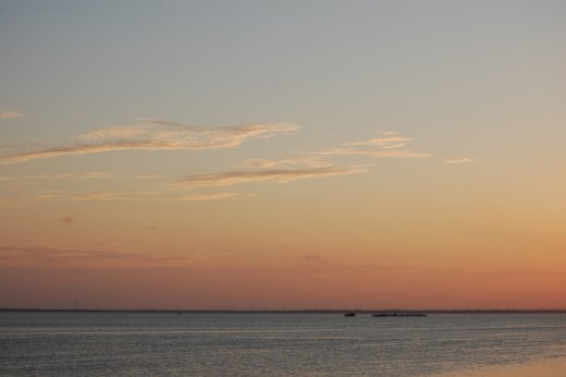 2009 03 16_3515-1