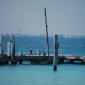 2009 03 17_3963-1