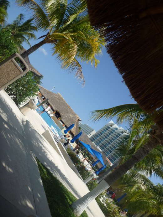 2010 02 27_0610