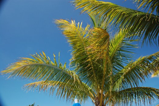 2010 03 02_0975