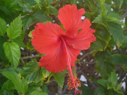 2011 03 10_7872