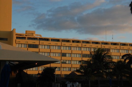 2011 03 12_7996