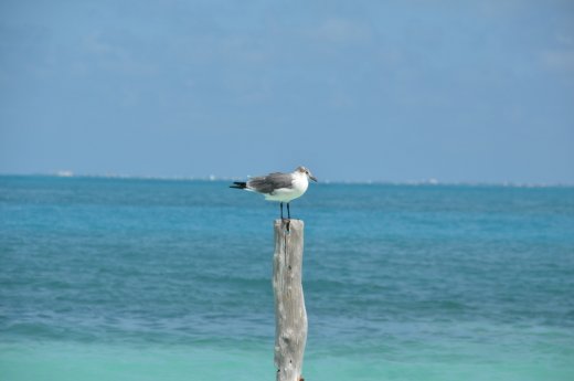 2012 03 01_0763