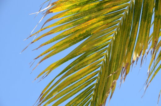2012 03 02_1122