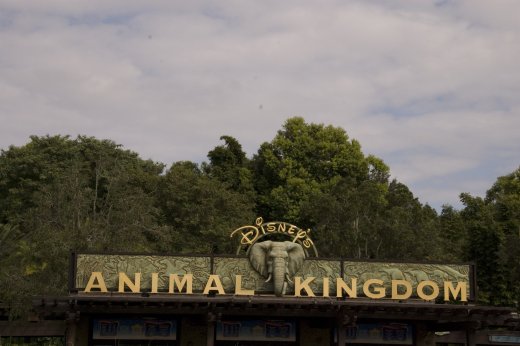 2009 10 20_Disney2008-Day5_2996