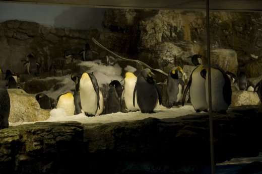 2009 10 23_SeaWorld2009_3928