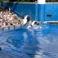 2009 10 23_SeaWorld2009_3937