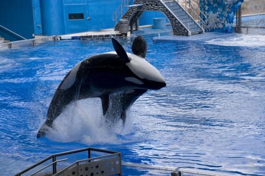 2009 10 23_SeaWorld2009_3938