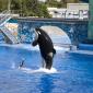 2009 10 23_SeaWorld2009_3942