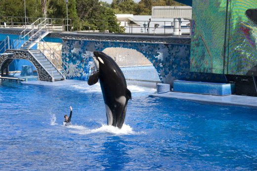 2009 10 23_SeaWorld2009_3942