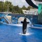 2009 10 23_SeaWorld2009_3945