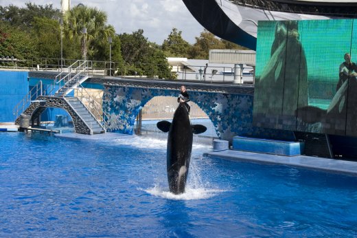 2009 10 23_SeaWorld2009_3945