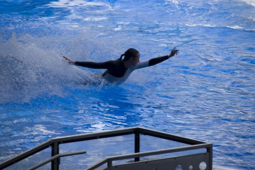2009 10 23_SeaWorld2009_3949