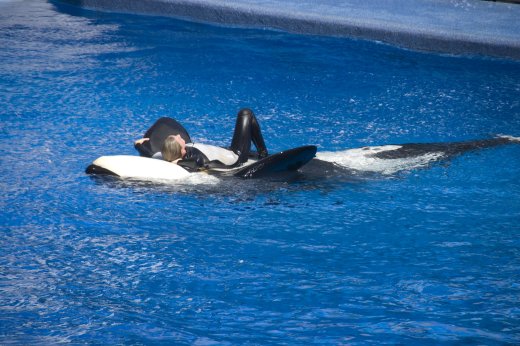 2009 10 23_SeaWorld2009_3959