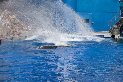 2009 10 23_SeaWorld2009_3965