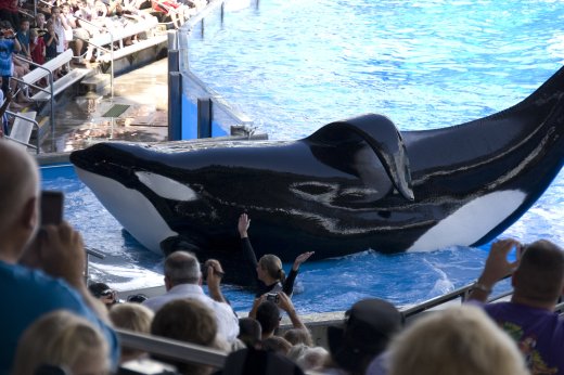 2009 10 23_SeaWorld2009_3980