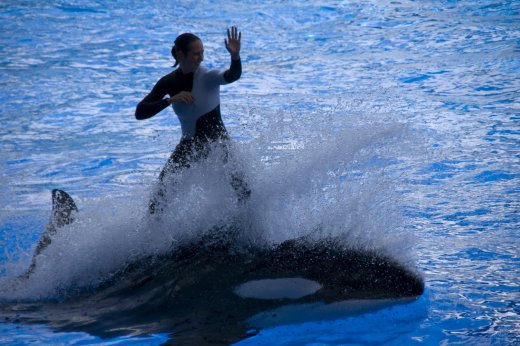 2009 10 23_SeaWorld2009_3988