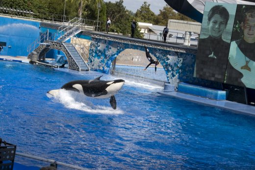 2009 10 23_SeaWorld2009_3989