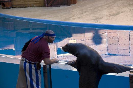 2009 10 23_SeaWorld2009_3999