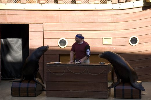 2009 10 23_SeaWorld2009_4004